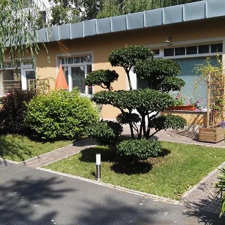 Fewo 2 Dresden Exteriör bild